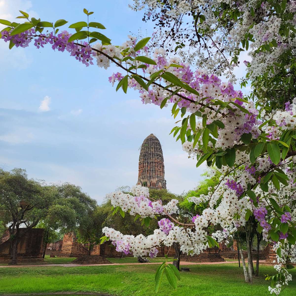 Ayutthaya travel guide
