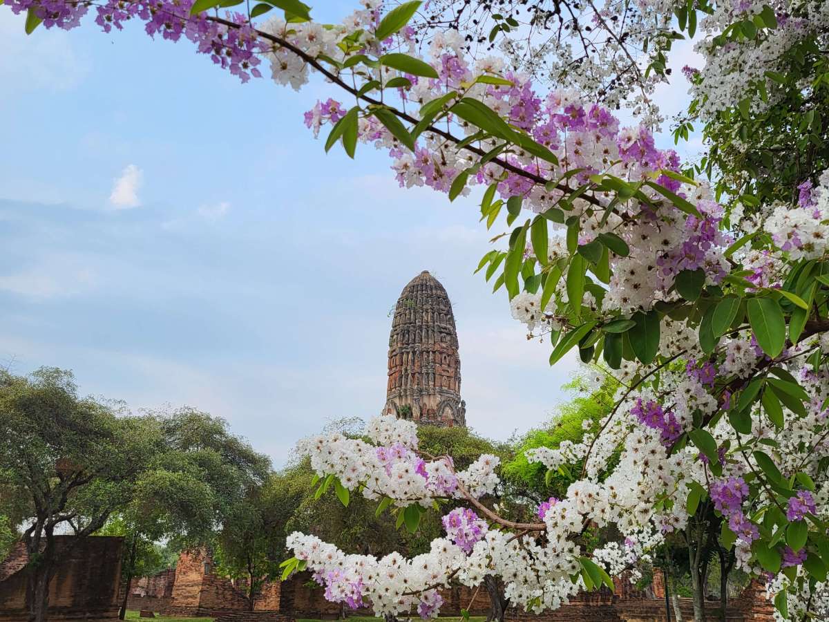Ayutthaya travel guide