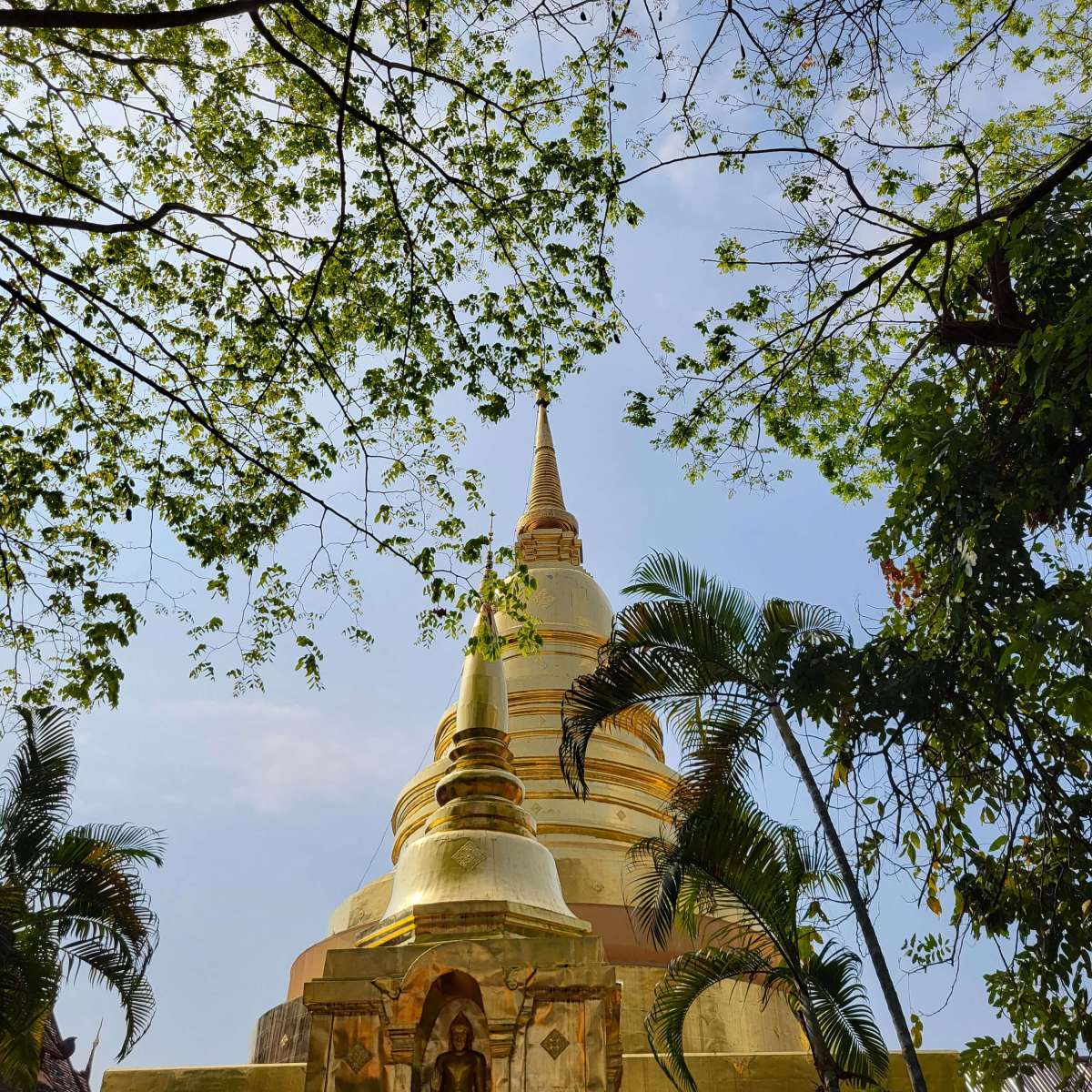 Chiang Mai travel guide